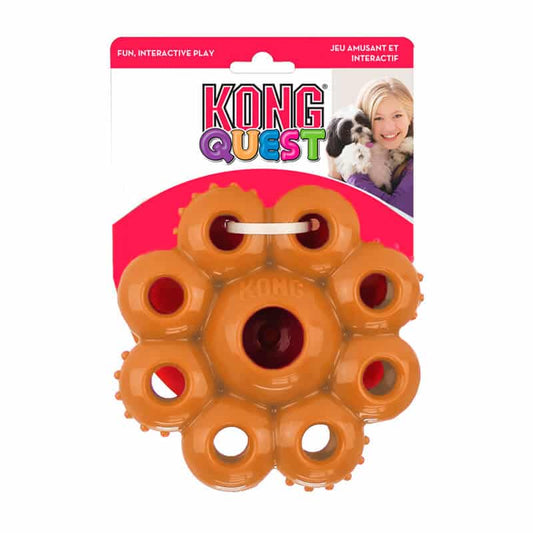 CÁPSULAS KONG QUEST STAR L