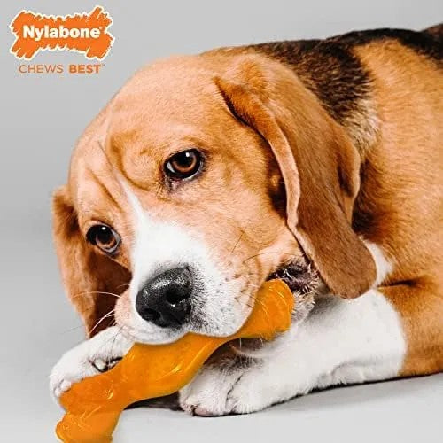 NYLABONE SENIOR FILL & TREAT - WOLF: TOCINO