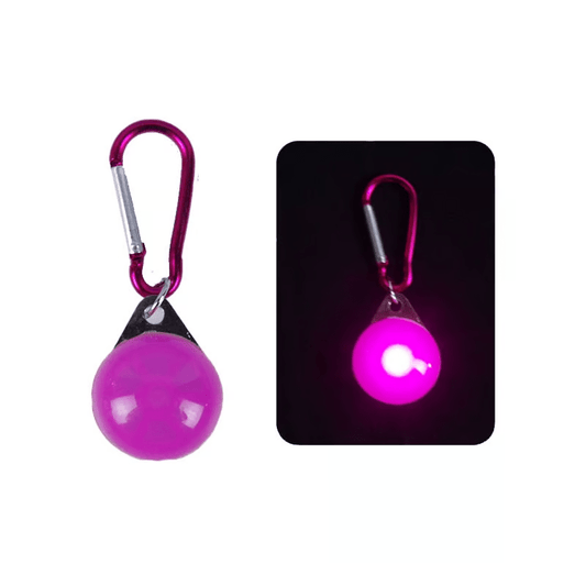 COLGANTE LINTERNA DE SEGURIDAD PARA PERROS