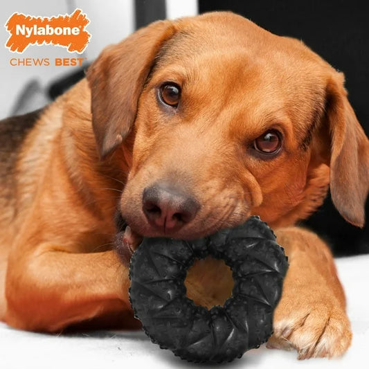 NYLABONE STRONG CHEW – RUBBER – RING NEGRO WOLF: BIG BEEF