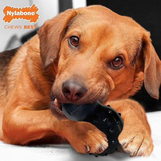 NYLABONE STRONG SHEW – RUBBER – CONE NEGRO WOLF: BIG BEEF